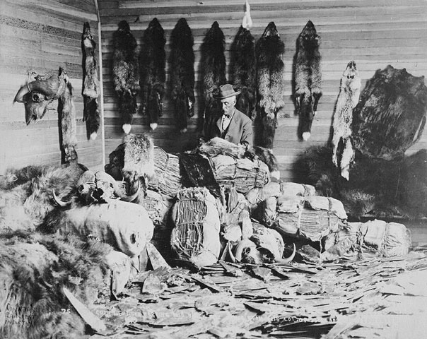 File:Fort Chipewyan Fur Trader 1900.jpg
