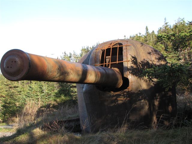 File:Nov. 12 2010 and more 146.jpg