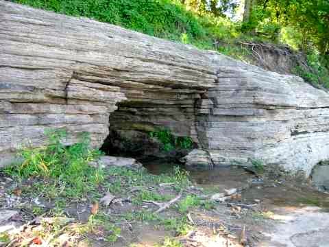 File:Belle Fontaine Shirley Paro.jpg