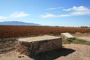 Fort Hancock Marker Locale, Chili Pepper Field in Background