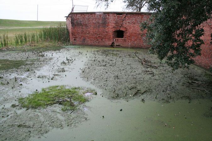 Fort Jackson Ditch