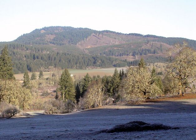 Spirit Mountain from Fort Yamhill Parade Ground 2005