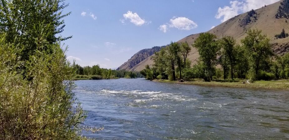 Salmon River at Tower Rock Camp.