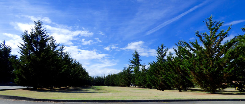 File:McChord AFB Lashup Site.jpg