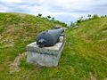 Fort Gloucester Cannon
