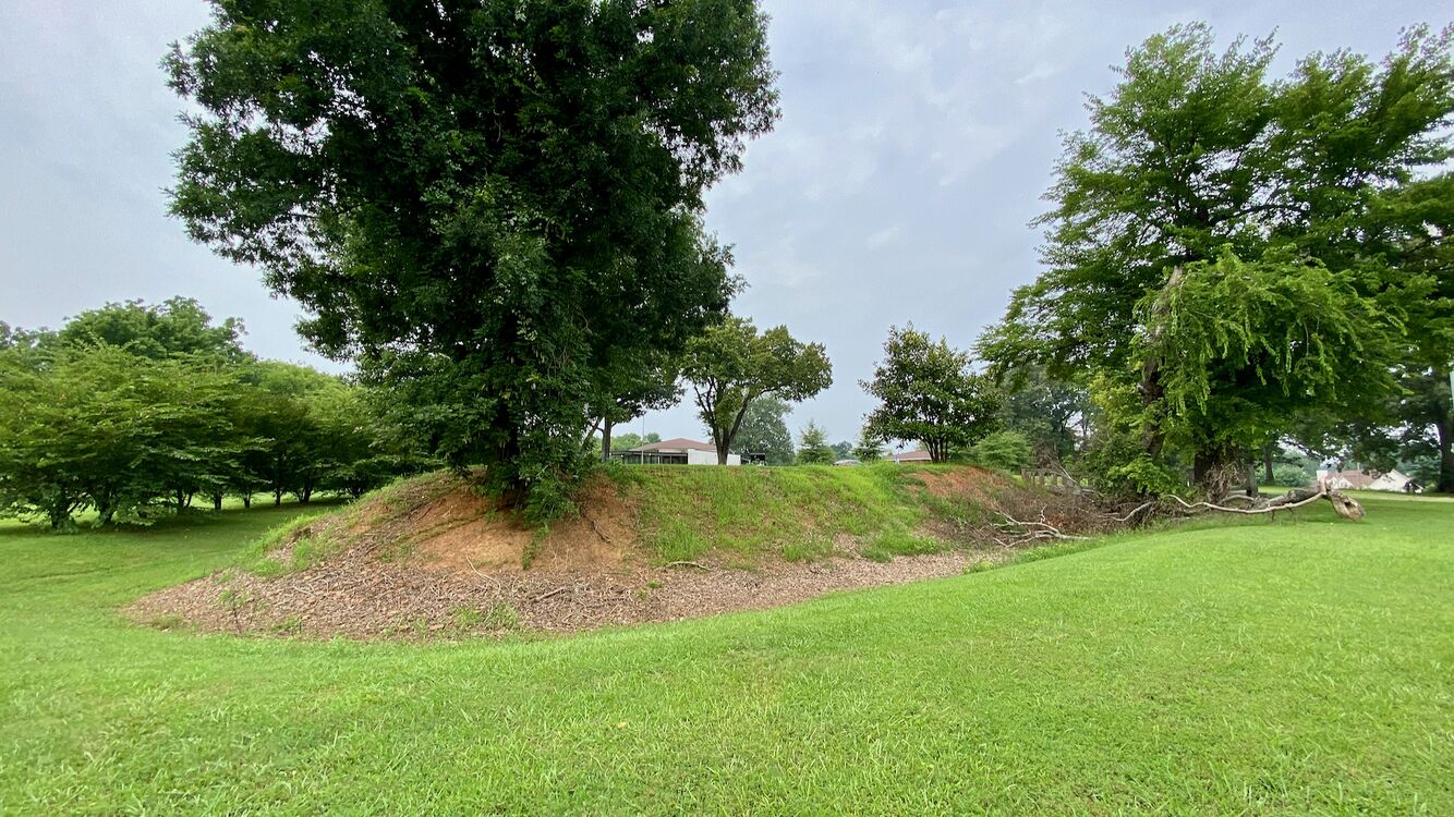 Fort Henderson Remains of the SE Bastion and Ditch.