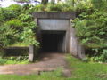 Battery 247 entrance way, located in Cape Disappointment Camp Ground, on Mackenzie Head