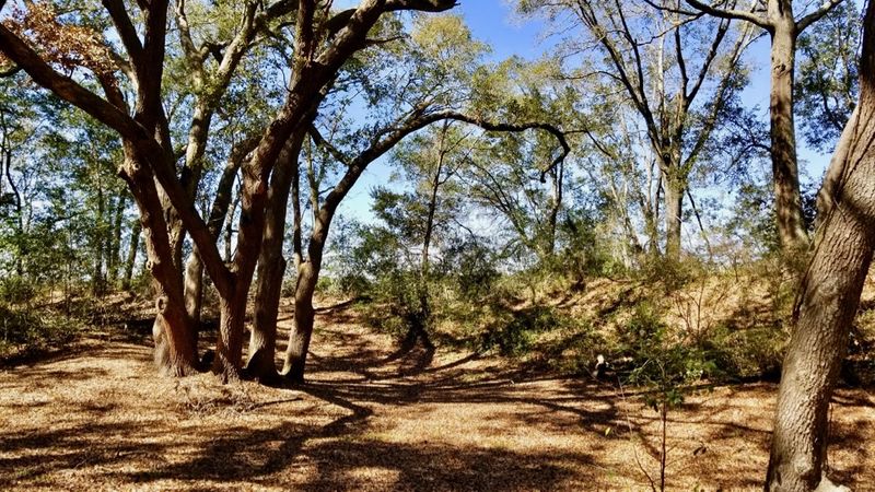 File:Fort Lamar Earthworks.jpg